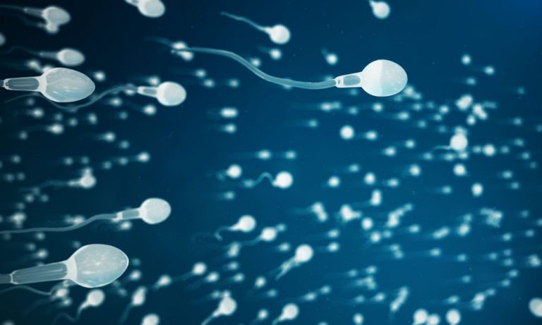 Healthy Sperm: Tips to Improve Sperm Health Naturally