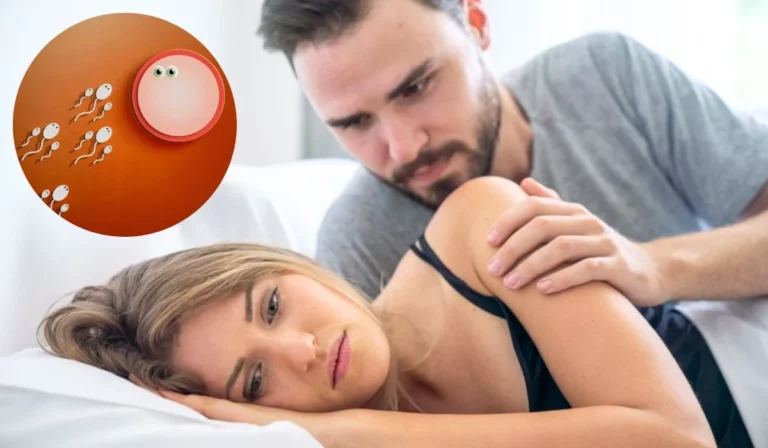 Male And Female Factor Infertility Exploring The Causes And Treatments