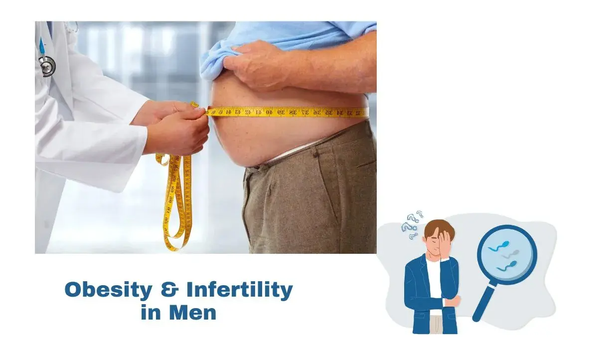 obesity and infertility in men