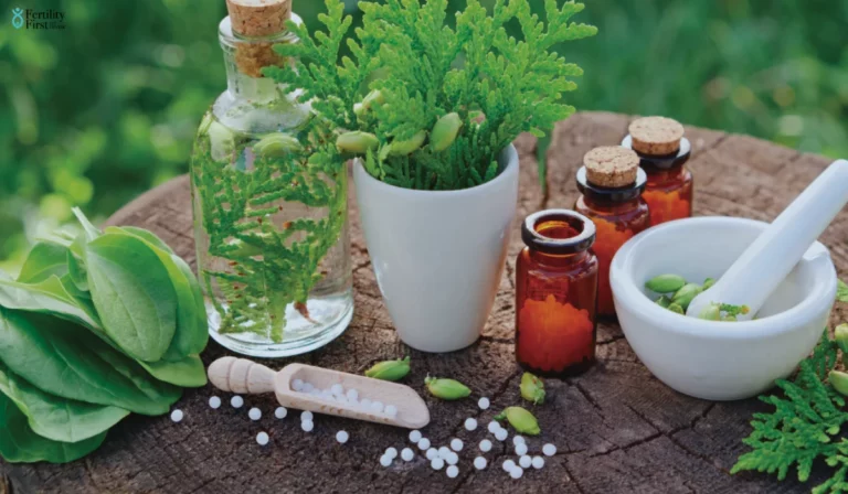 Natural Remedies For Infertility: A Comprehensive Guide