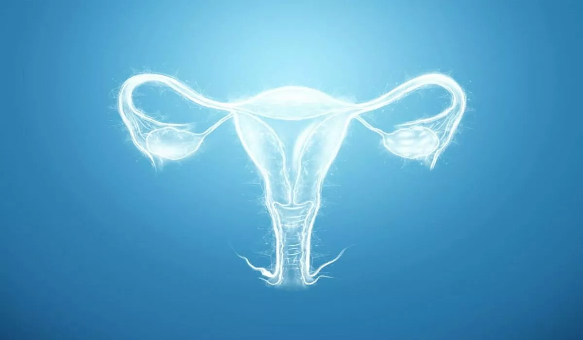 Bicornuate Uterus Symptoms, Treatment, and Its Impact
