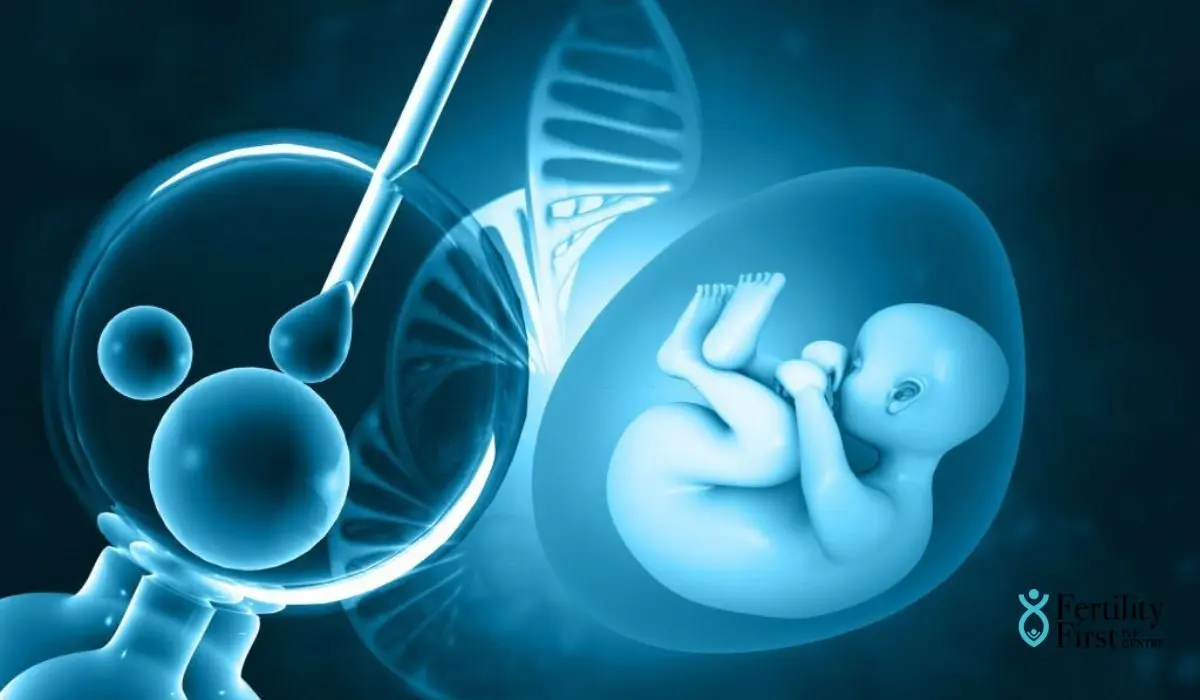 Embryo Transfer
