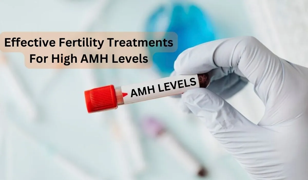 Effective Fertility Treatments For High AMH Levels