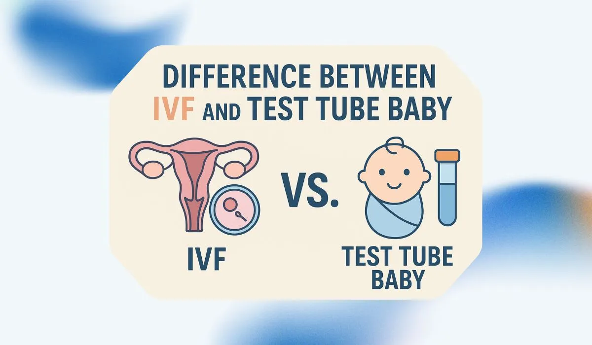 Difference Between IVF and Test Tube Baby