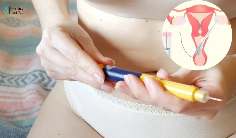 Egg Retrieval IVF Process