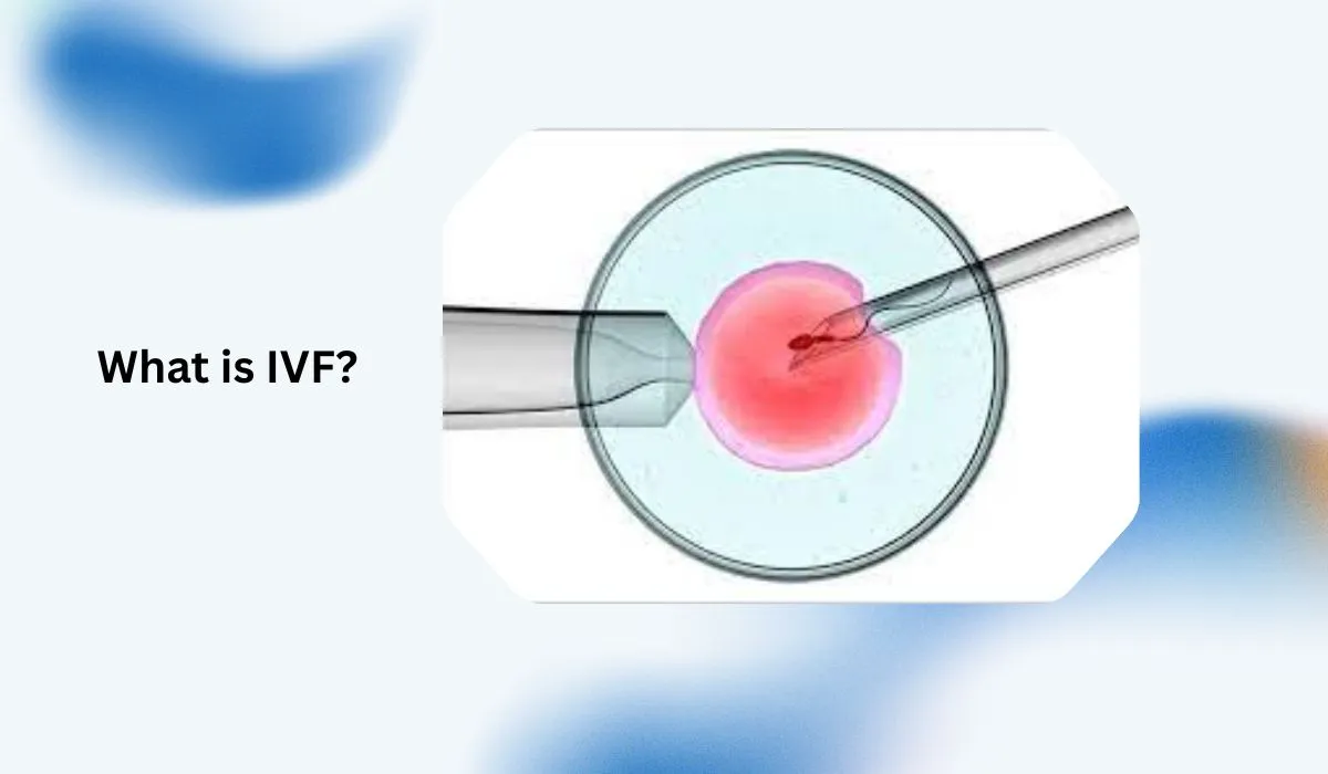What is IVF